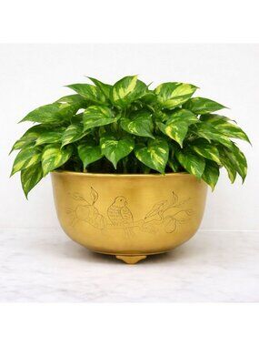 Vintage Etched Shiny Brass Footed Bowl Birds Branches Planter Dish 1960s